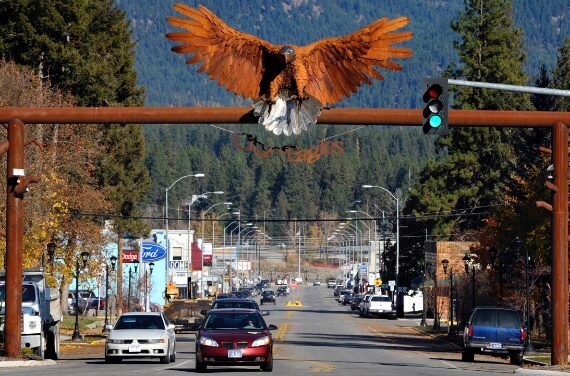 A bird by a stoplight.