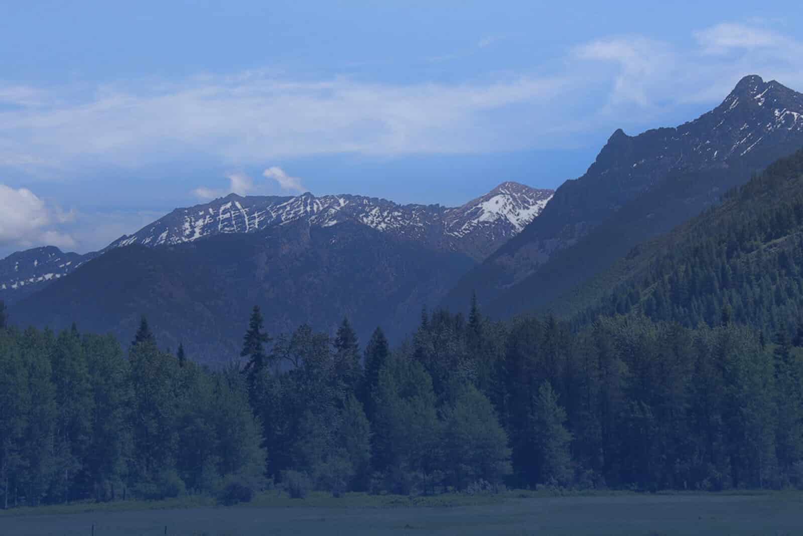 A photo of trees and mountains.