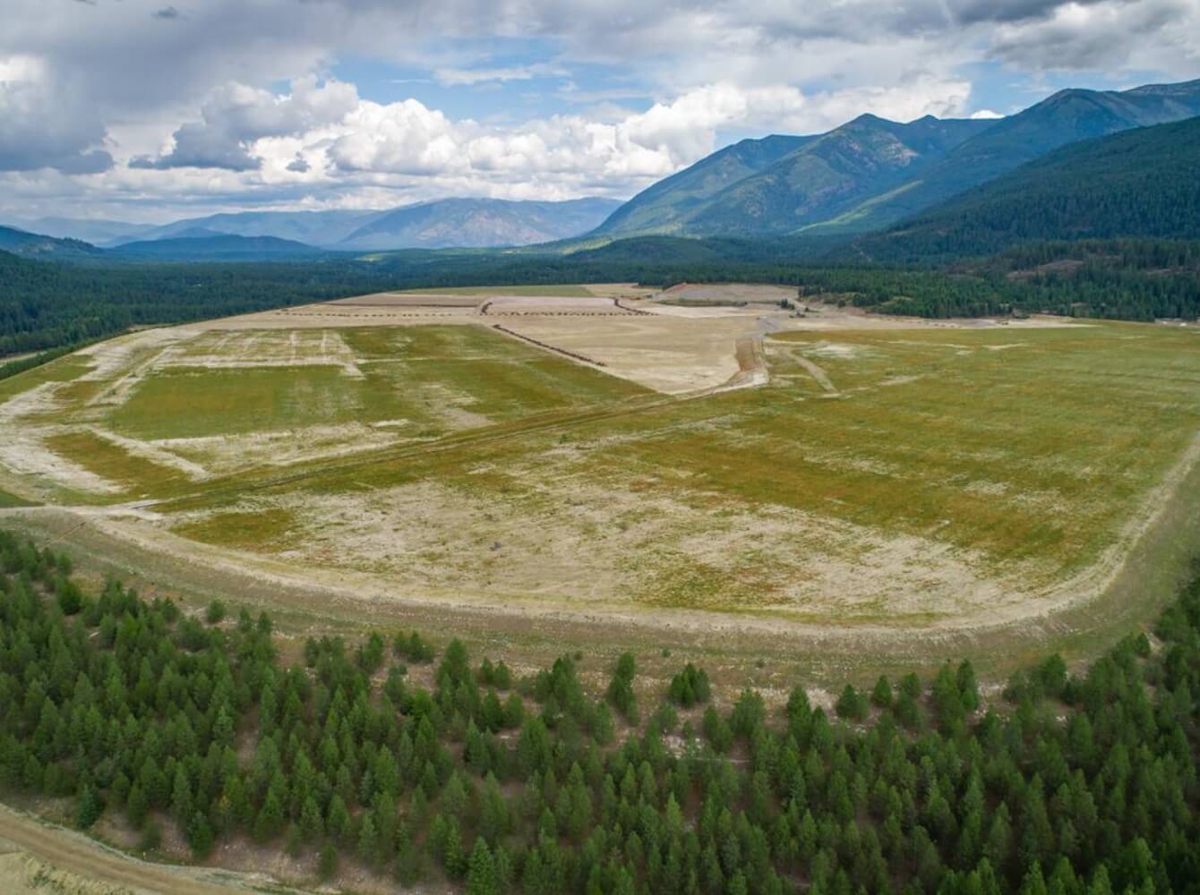 An image of some land and trees.